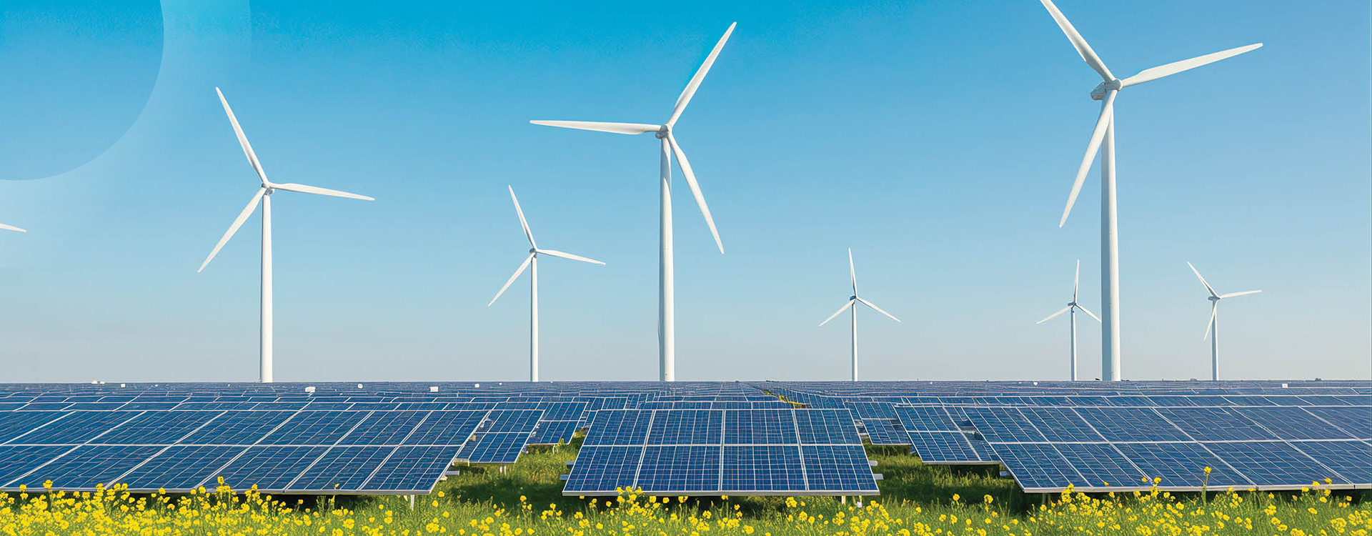 Natural Capital
