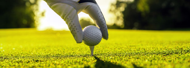 Visa Golf Program